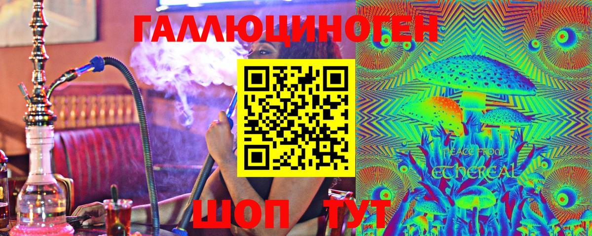 Димитровград  Галлюциногенные грибы Psilocybine cubensis  Вход с VPN 
